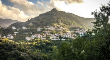 IMG-7194